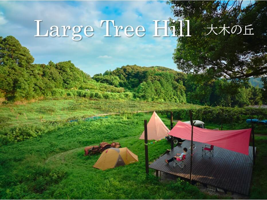 Large Tree Hill 大木の丘