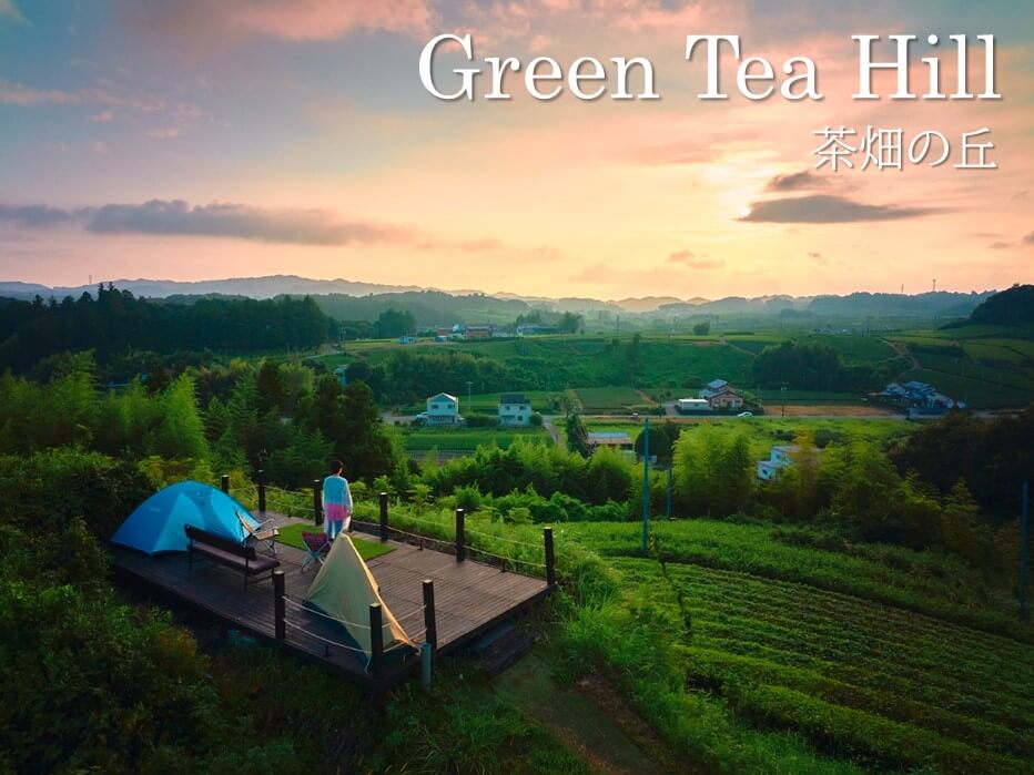 Green Tea Hill 茶畑の丘