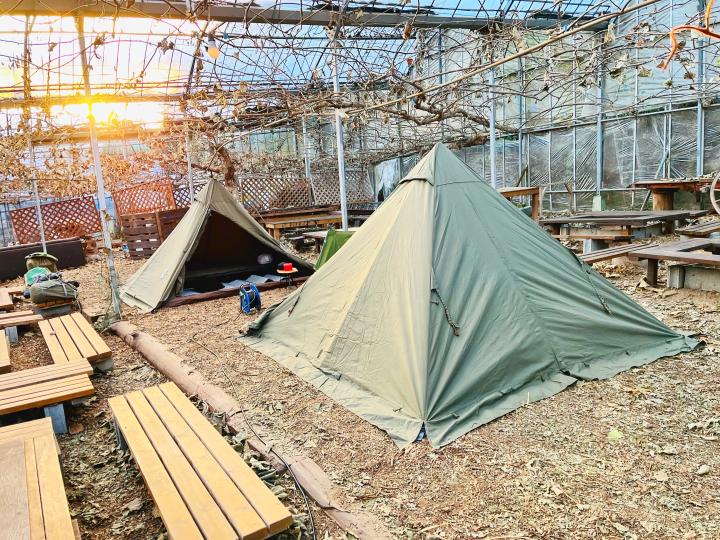 冬キャンプは雨風の影響を受けないキウイの天井キャンプサイトがおすすめ！