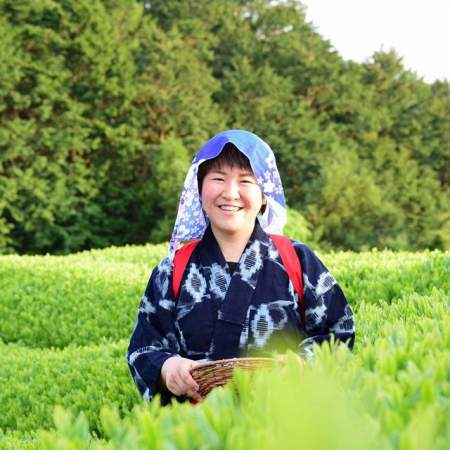 「Tea picking experience & Kiwi all you can eat course at a Japanese Beautifull tea view spot (entrance fee included)」画像2