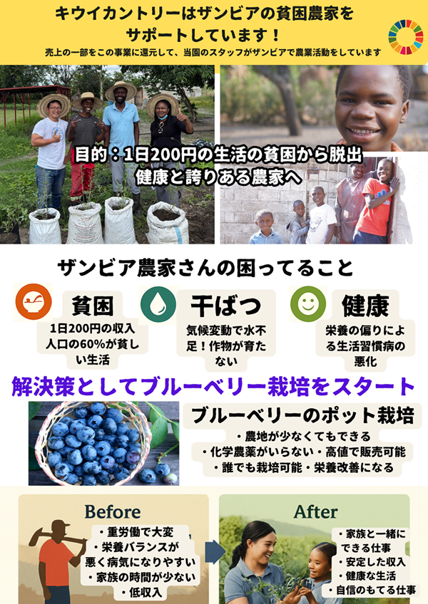 「ザンビア貧困農家とその家族をサポートするための寄付金になります」商品写真 1