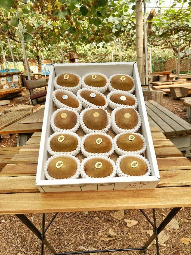 「【毎日キウイ！】季節限定キウイ3品種の詰め合わせ：1８個前後入り【熨斗対応可】L3」商品写真 1