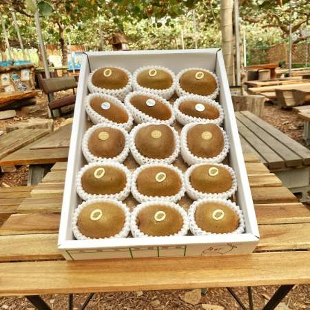 「【毎日キウイ！】季節限定キウイ3品種の詰め合わせ：1８個前後入り【熨斗対応可】L3」商品写真サムネイル