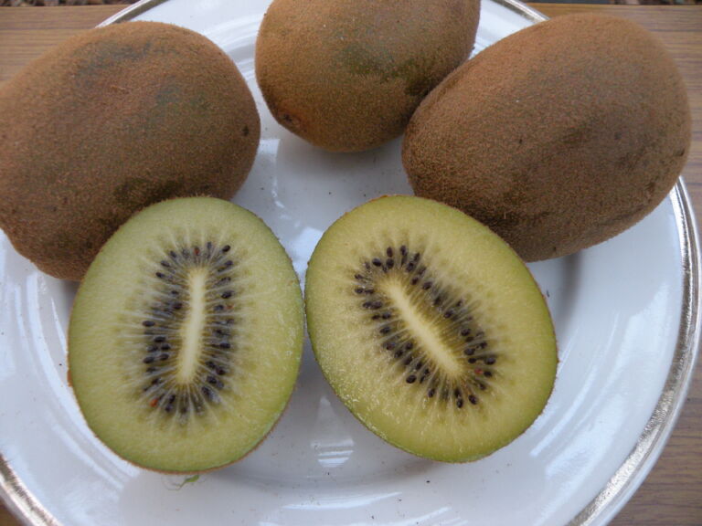 （最強の酸味）ゴールデンイエロー　Golden Yellow