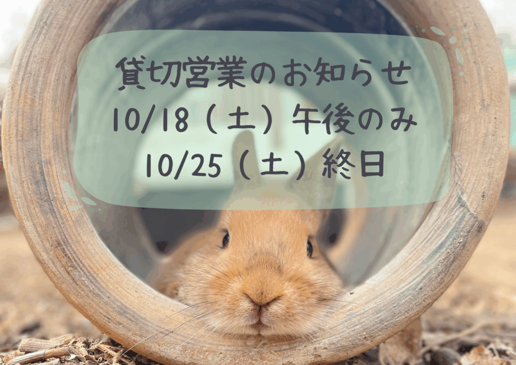 貸切営業のお知らせ🥝🪽