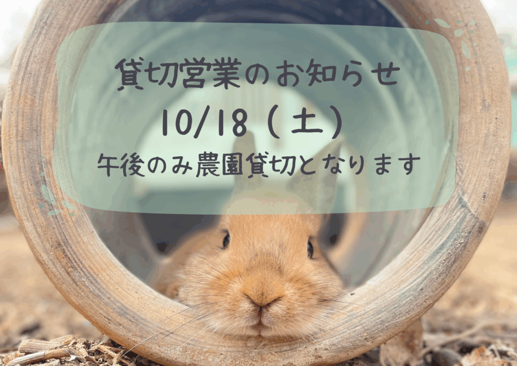 貸切営業のお知らせ🥝🪽